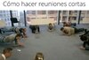 89F67757-BF71-4872-8F63-2A86BFDF5CA4.jpeg