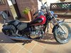 IMG_20220117_123223.jpg