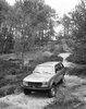 peugeot_504_4x4_dangel_5.jpg