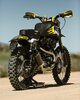 Rusty-Butcher-Sportster-Hooligan-Enduro-45.jpg