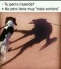 20220504_071805.jpg
