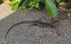 IMG_20220601_205034.jpg
