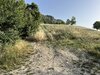 A0867185-4D0D-4A99-8938-B6708F5337BC.jpeg