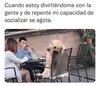6EDA5F47-D14E-47AD-8F2A-3E3354DD53D8.jpeg