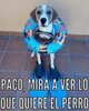 IMG-20180720-WA0034.jpg