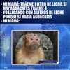 951F57AC-2F45-4710-AC0E-3C8743AAD906.jpeg
