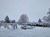 20221209_110457.jpg