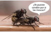 38AC74C5-E4FE-4C20-A64B-A3ACD899F8D1.jpeg