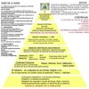la-crisis-mundial-explicada-en-una-piramide_foro.jpg
