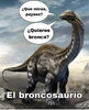 1663AC7F-EA4B-4356-8A7A-AA8BC99B9DA2.jpeg