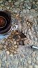 IMG-20230314-WA0003.jpeg