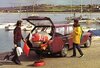 504-5.jpg 504-5.jpg