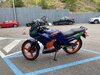 IMG_9555.jpeg