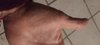 IMG_20230530_232532.jpg