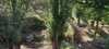 IMG_20230603_182017.jpg