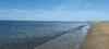 IMG_20230612_081001.jpg