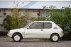 Peugeot-205-Lacoste-3.jpg