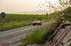 DSC_2953 copia.jpg