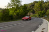 DSC_3002 copia.jpg