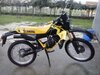condor-34_750x.jpg