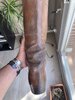 380D0009-77B0-4676-851C-2DE57CE445C0.jpeg