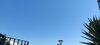 IMG_20231012_131435.jpg