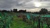 IMG-20231111-WA0043.jpeg