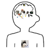 0T3.png