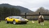 apertura-detomaso-pantera-gts-049_1_1000x575.jpeg