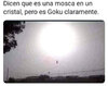 IMG_2034.jpeg