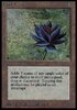 IMG_5822.jpeg