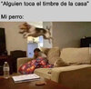 IMG_2652.jpeg