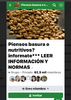 upload_2024-2-11_18-25-7.png