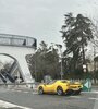 IMG_7986.jpeg