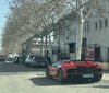 IMG_8464.jpeg
