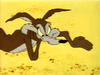 Coyote.gif