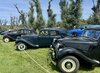 IMG_9428.jpeg