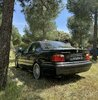 IMG_9452.jpeg