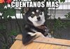 upload_2024-7-17_14-11-6.jpeg