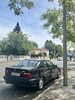 IMG_3521.jpeg