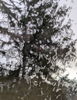 Screenshot_20240913-085116.png