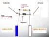 upload_2024-9-19_11-1-16.jpeg