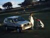 SEAT-Panda-Marbella--scaled.jpg SEAT-Panda-Marbella--scaled.jpg