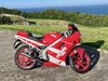 IMG_8681.jpeg
