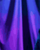 IMG_5781.gif