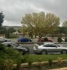 IMG_4882.jpeg IMG_4882.jpeg