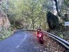 IMG_9654.jpeg