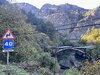 IMG_9656.jpeg