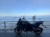 IMG_9667.jpeg