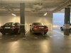 IMG_2448.jpeg